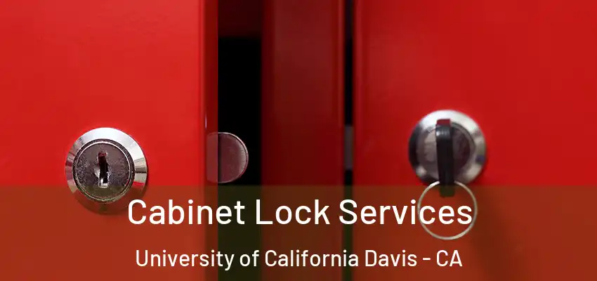  Cabinet Lock Services University of California Davis - CA
