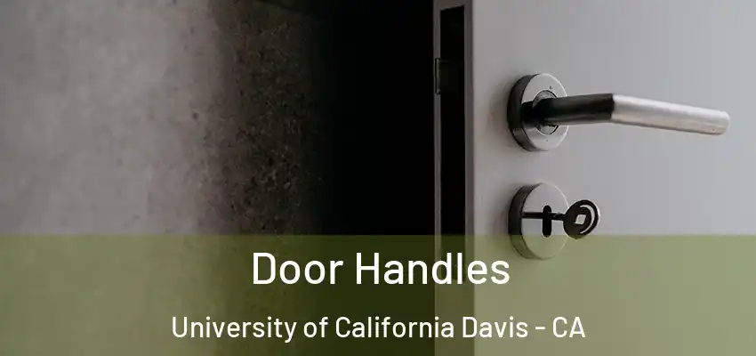  Door Handles University of California Davis - CA