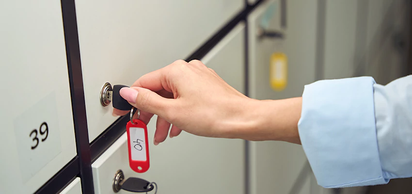 Cabinet Lock Installation in University of California Davis, California